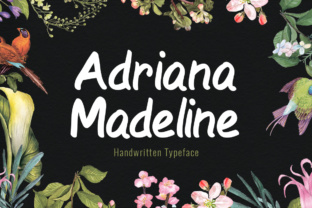 Adriana Madeline Font Review for Brand Designers