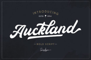 Auckland Script Font for Bold Web Branding