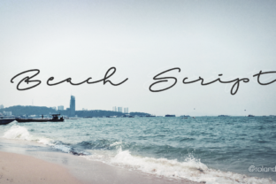 Beach Script Font for Bold Brand Identity