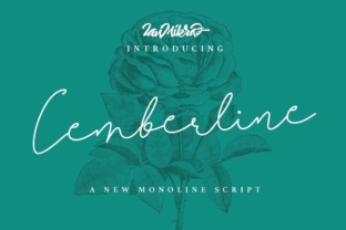 Cemberline Font Review: Elegant Script for Modern Design