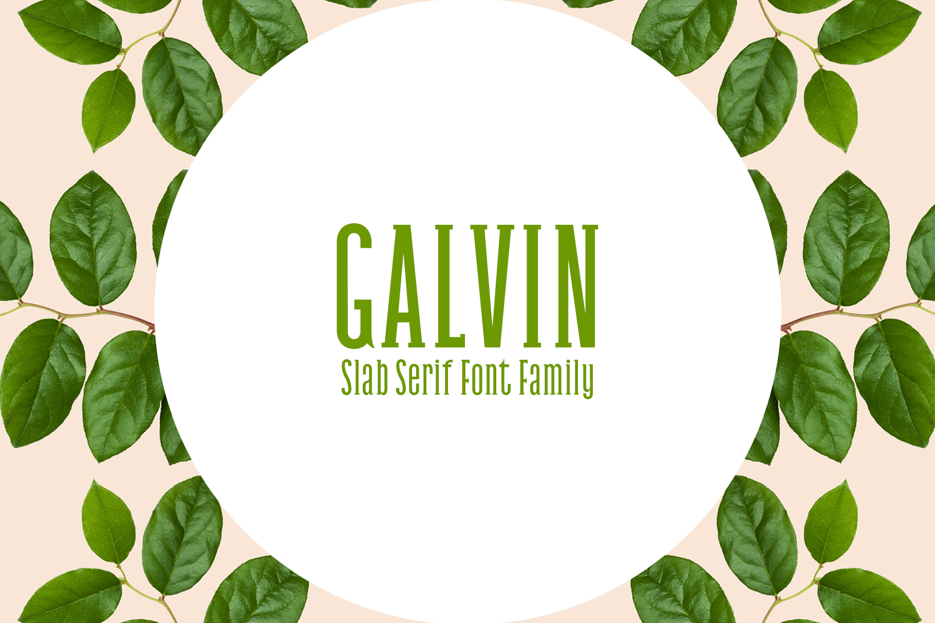 Galvin Family Pack: A Modern Slab Serif Typeface